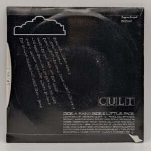 Alternative view of The Cult – Rain
