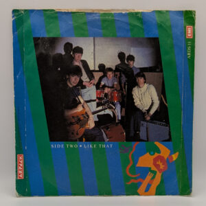 Alternative view of The Undertones – The Love Parade